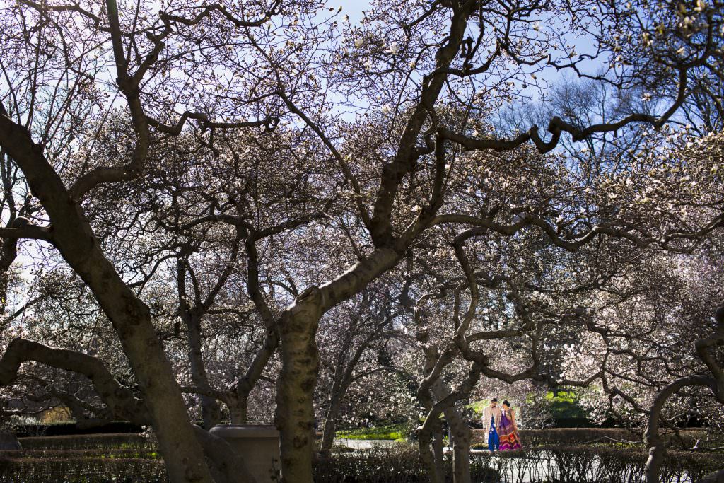 New York Botanical Garden engagement photos NYBG